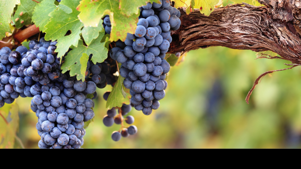 Jesus is returning soon! Now what??